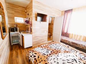 Студия квартира, посуточно, 20м2, 3/3 этаж