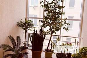 2-к квартира, посуточно, 56м2, 3/6 этаж