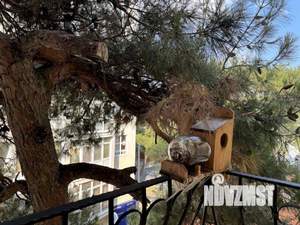 1-к квартира, посуточно, 50м2, 1/1 этаж