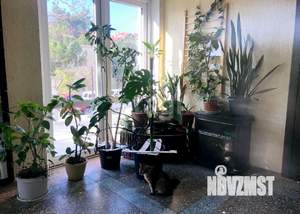 Студия квартира, на длительный срок, 20м2, 1/2 этаж