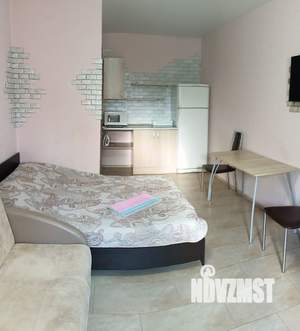 Студия квартира, посуточно, 20м2, 1/2 этаж
