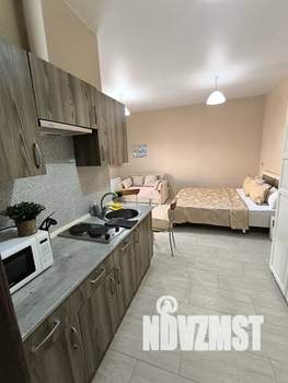 Студия квартира, посуточно, 35м2, 2/3 этаж