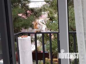 1-к квартира, посуточно, 23м2, 3/3 этаж