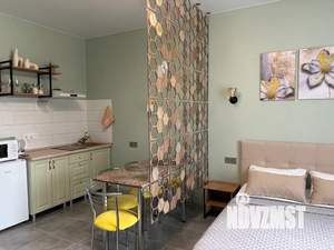 Студия квартира, посуточно, 29м2, 2/3 этаж