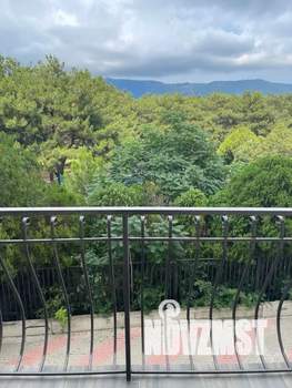 Студия квартира, посуточно, 36м2, 2/11 этаж