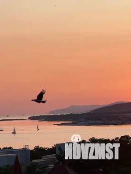 1-к квартира, посуточно, 50м2, 7/7 этаж