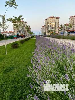 1-к квартира, посуточно, 41м2, 3/5 этаж