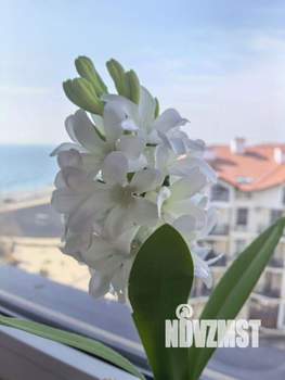 1-к квартира, на длительный срок, 58м2, 7/9 этаж