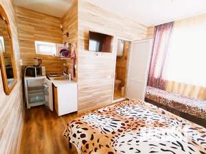 Студия квартира, посуточно, 20м2, 3/3 этаж