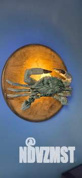 Студия квартира, посуточно, 23м2, 2/5 этаж