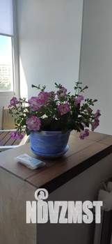 3-к квартира, посуточно, 61м2, 9/9 этаж