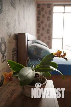 1-к квартира, посуточно, 48м2, 3/10 этаж