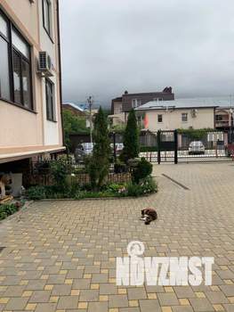 1-к квартира, посуточно, 48м2, 1/6 этаж