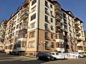 Фото квартиры в аренду (1)