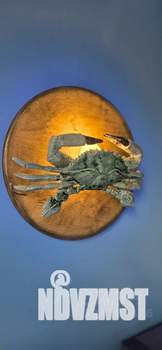 Студия квартира, посуточно, 23м2, 2/5 этаж