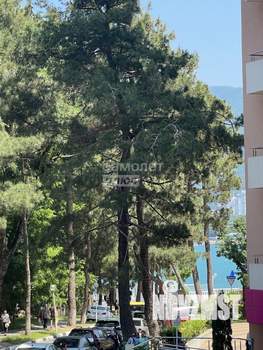 Студия квартира, вторичка, 42м2, 2/15 этаж