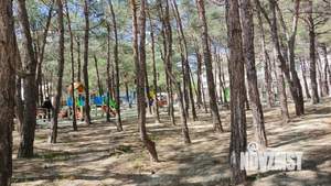 1-к квартира, вторичка, 20м2, 1/5 этаж