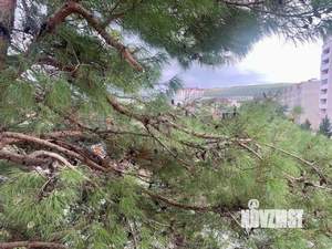 1-к квартира, вторичка, 54м2, 5/5 этаж