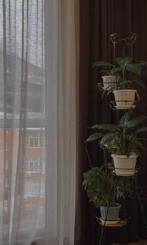 1-к квартира, вторичка, 54м2, 4/6 этаж