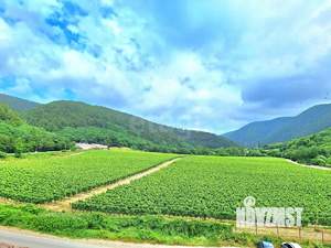 3-к квартира, вторичка, 73м2, 4/5 этаж