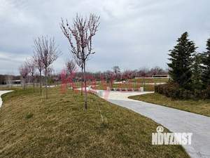 Студия квартира, вторичка, 20м2, 1/2 этаж