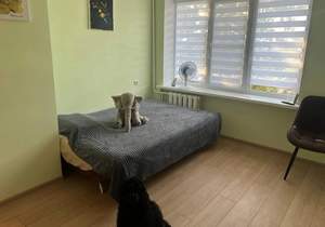 1-к квартира, вторичка, 22м2, 1/5 этаж