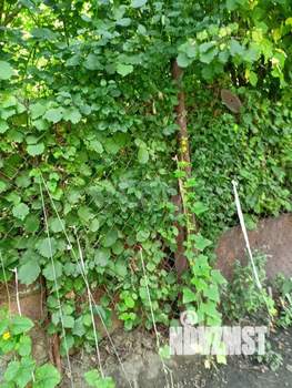 2-к квартира, вторичка, 55м2, 5/5 этаж