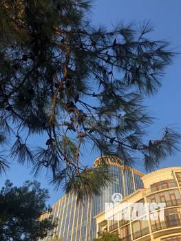 3-к квартира, вторичка, 134м2, 3/22 этаж