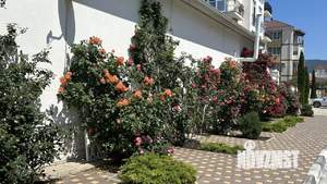 3-к квартира, вторичка, 116м2, 3/6 этаж
