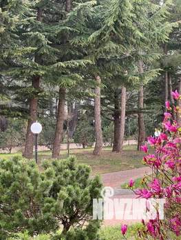 3-к квартира, вторичка, 90м2, 1/5 этаж