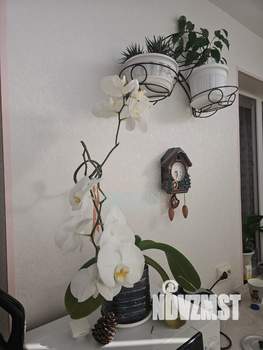 1-к квартира, вторичка, 37м2, 4/5 этаж