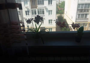 1-к квартира, вторичка, 38м2, 4/4 этаж