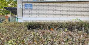 3-к квартира, вторичка, 61м2, 1/4 этаж