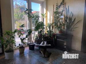 Студия квартира, вторичка, 24м2, 1/2 этаж