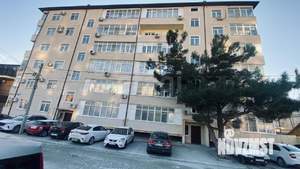 Студия квартира, вторичка, 50м2, 7/7 этаж