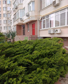 1-к квартира, вторичка, 29м2, 1/6 этаж