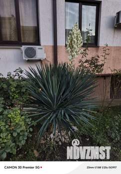 2-к квартира, вторичка, 53м2, 1/3 этаж