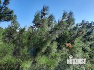 1-к квартира, вторичка, 52м2, 4/5 этаж