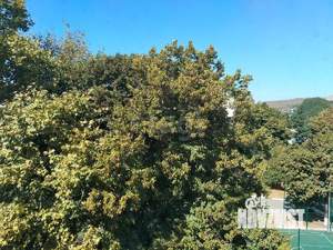 1-к квартира, вторичка, 23м2, 5/5 этаж