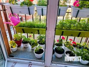 2-к квартира, вторичка, 56м2, 3/9 этаж