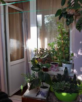 2-к квартира, вторичка, 49м2, 1/5 этаж