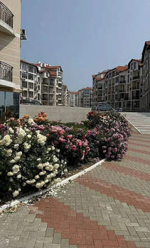 1-к квартира, вторичка, 50м2, 8/8 этаж