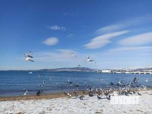 3-к квартира, вторичка, 92м2, 3/9 этаж