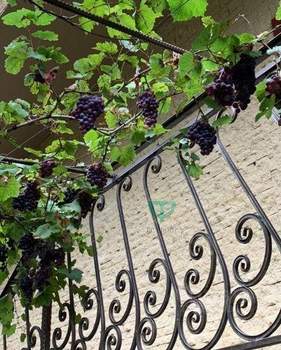 2-к квартира, вторичка, 51м2, 1/3 этаж