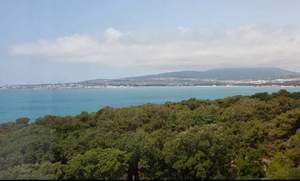 1-к квартира, вторичка, 37м2, 8/20 этаж