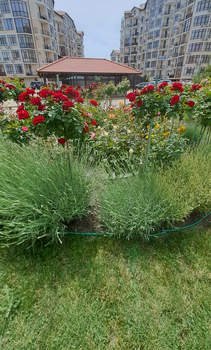 2-к квартира, вторичка, 75м2, 3/8 этаж